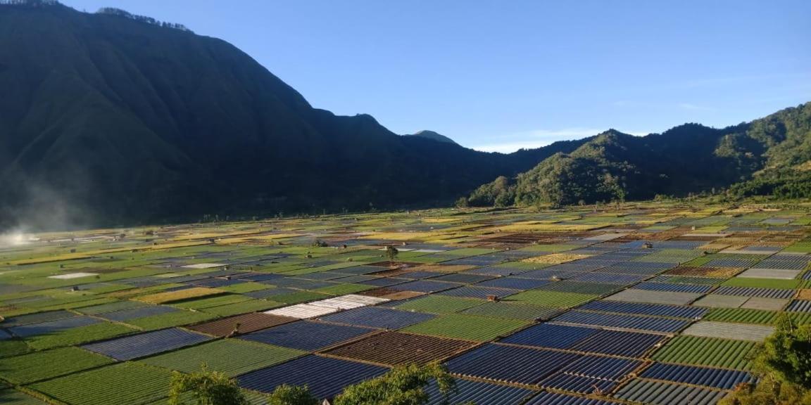 Rinjani Hill Hotel Sembalunlawang Eksteriør bilde
