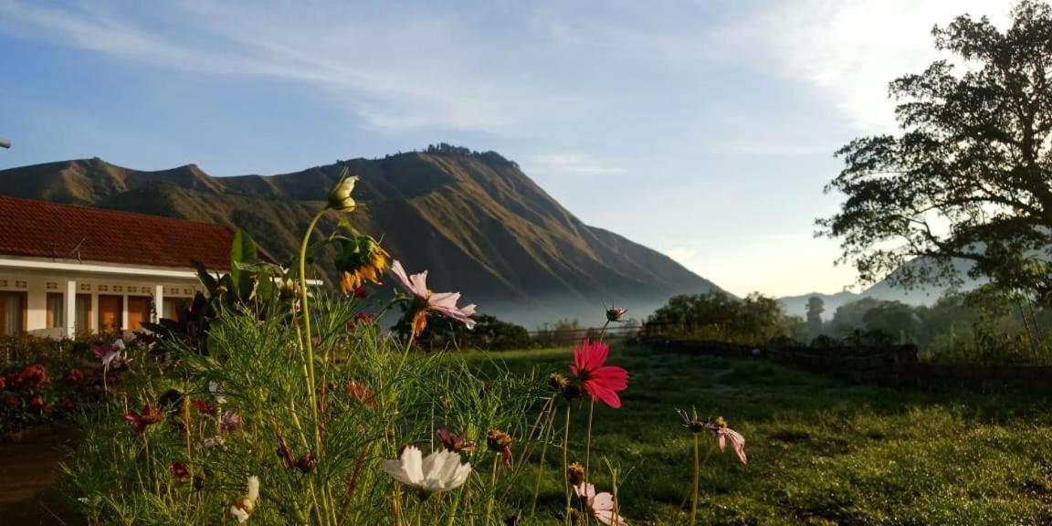 Rinjani Hill Hotel Sembalunlawang Eksteriør bilde