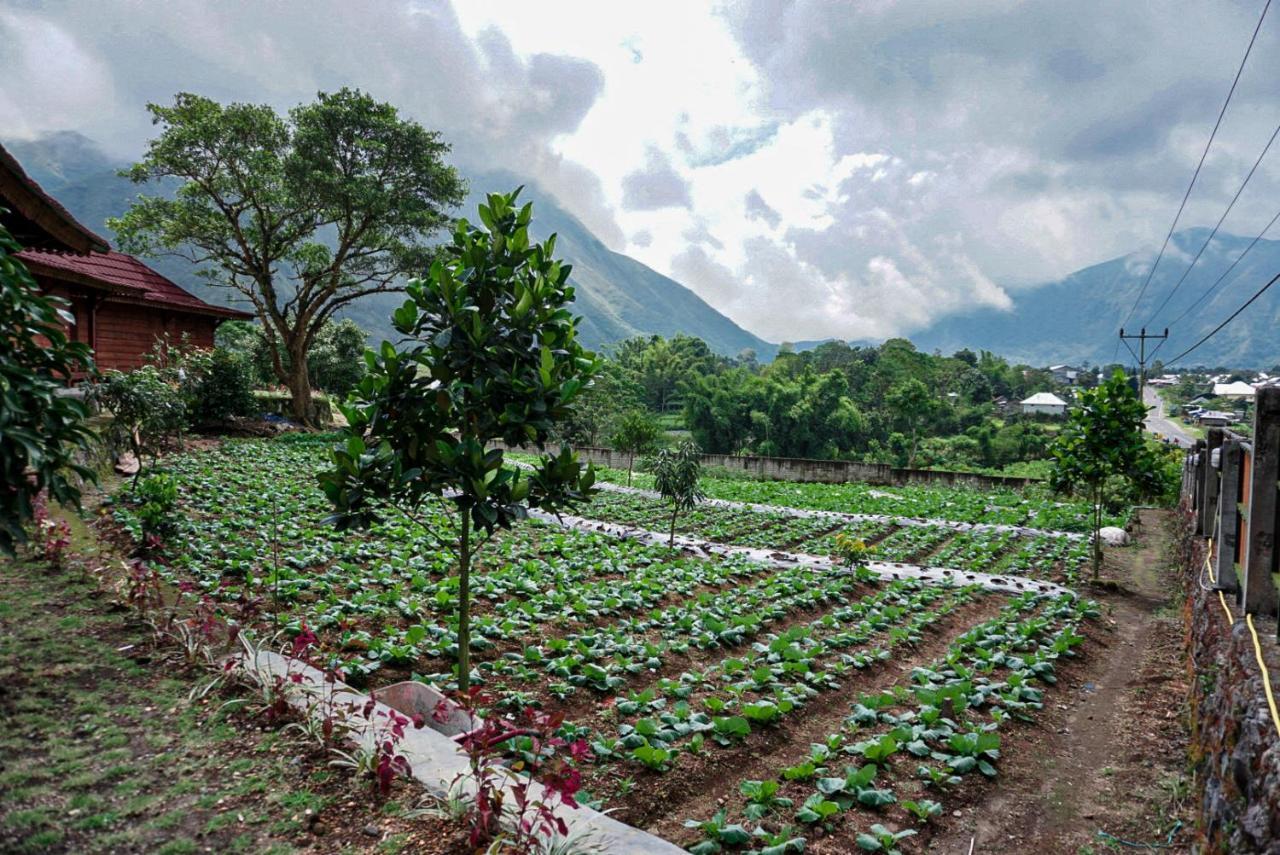 Rinjani Hill Hotel Sembalunlawang Eksteriør bilde