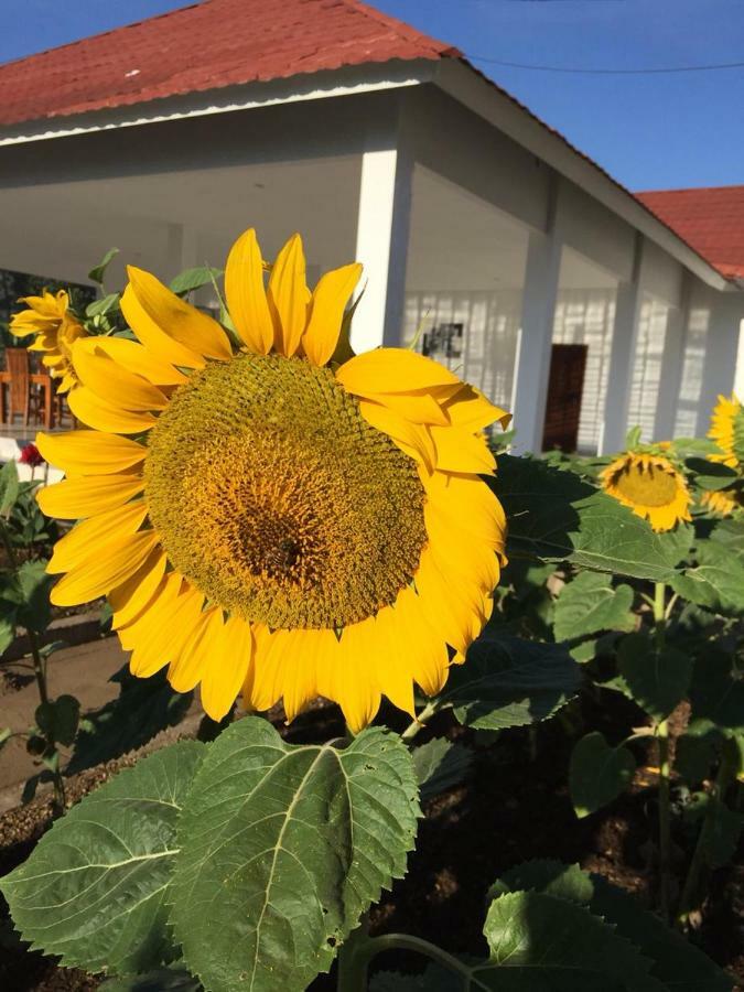 Rinjani Hill Hotel Sembalunlawang Eksteriør bilde