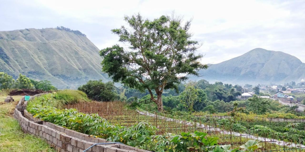 Rinjani Hill Hotel Sembalunlawang Eksteriør bilde